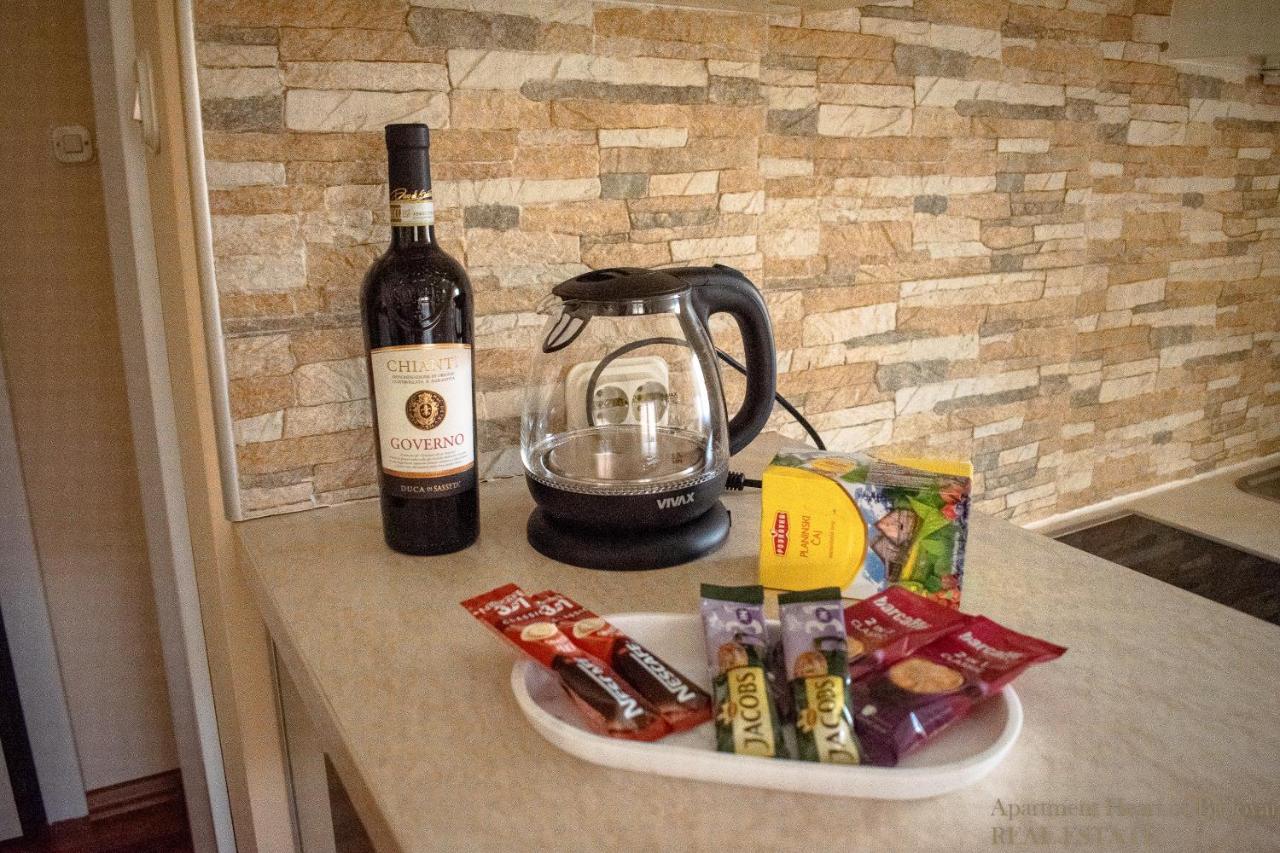 Apartment Heart Of Bjelovar Extérieur photo